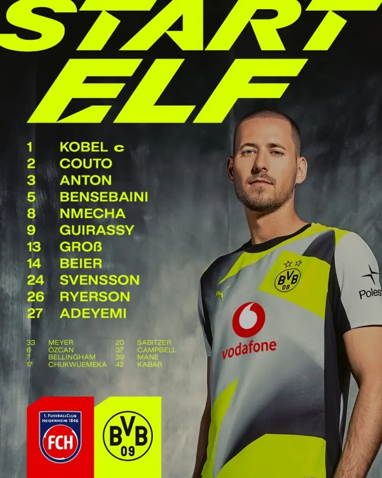 拜尔, 维奇, 库托